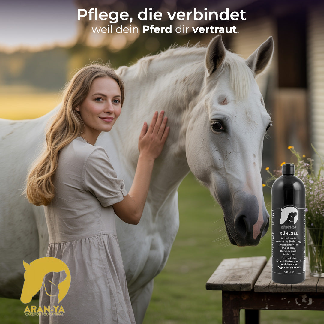 ARAN-YA Kühlgel