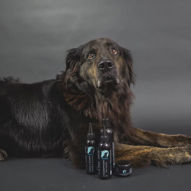 ARAN-YA Anti Milben, Läuse und Flöhe bei Hunden