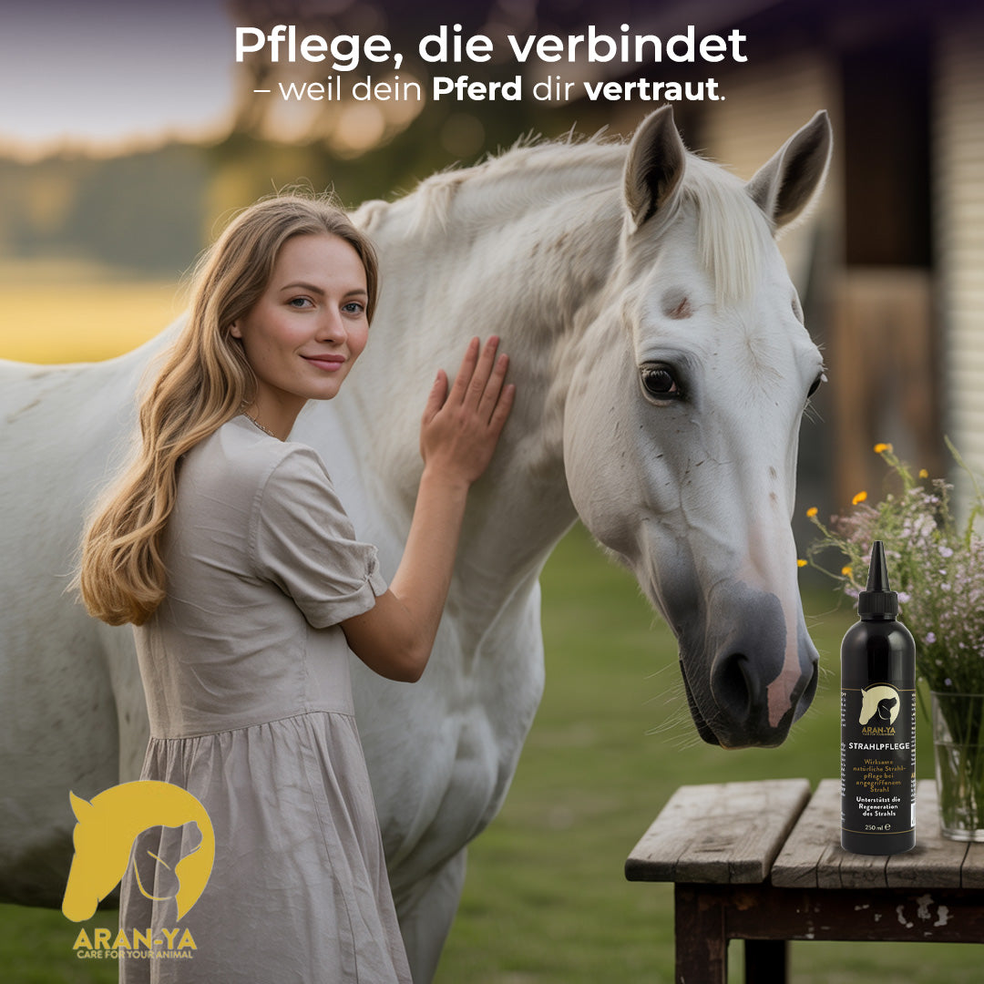 ARAN-YA Strahlpflege für Pferde